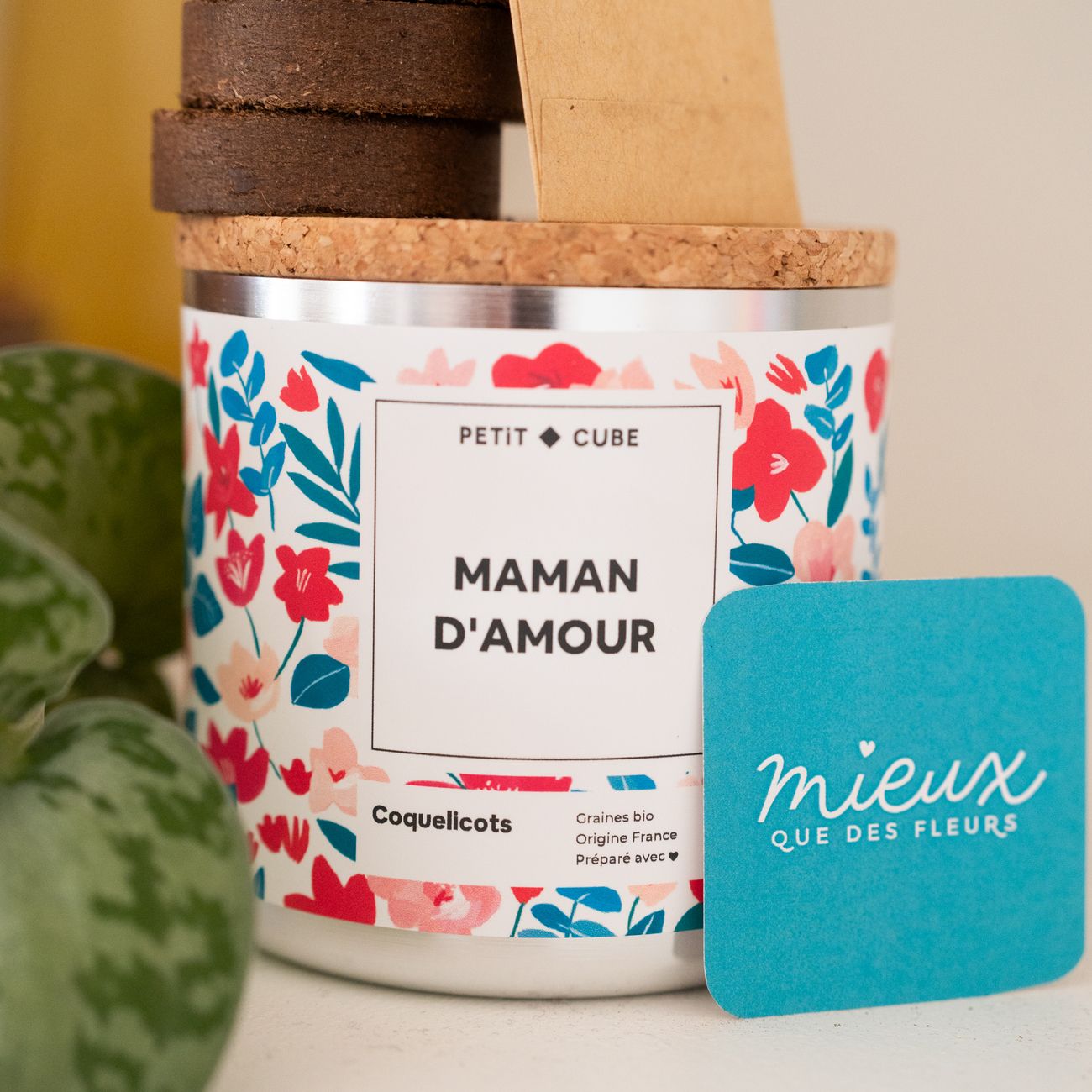 Kit à planter coquelicot avec palets de terre en gros plan