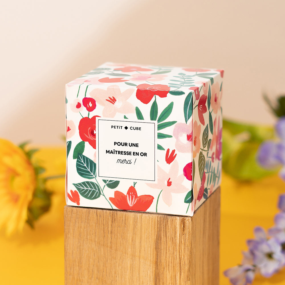 Petit Cube, une idée cadeau original à offrir à une maîtresse 