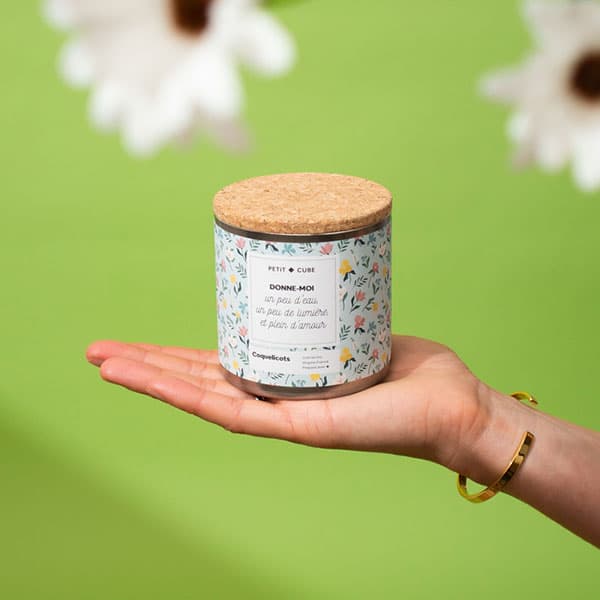 Idée cadeau maîtresse plantes personnalisées