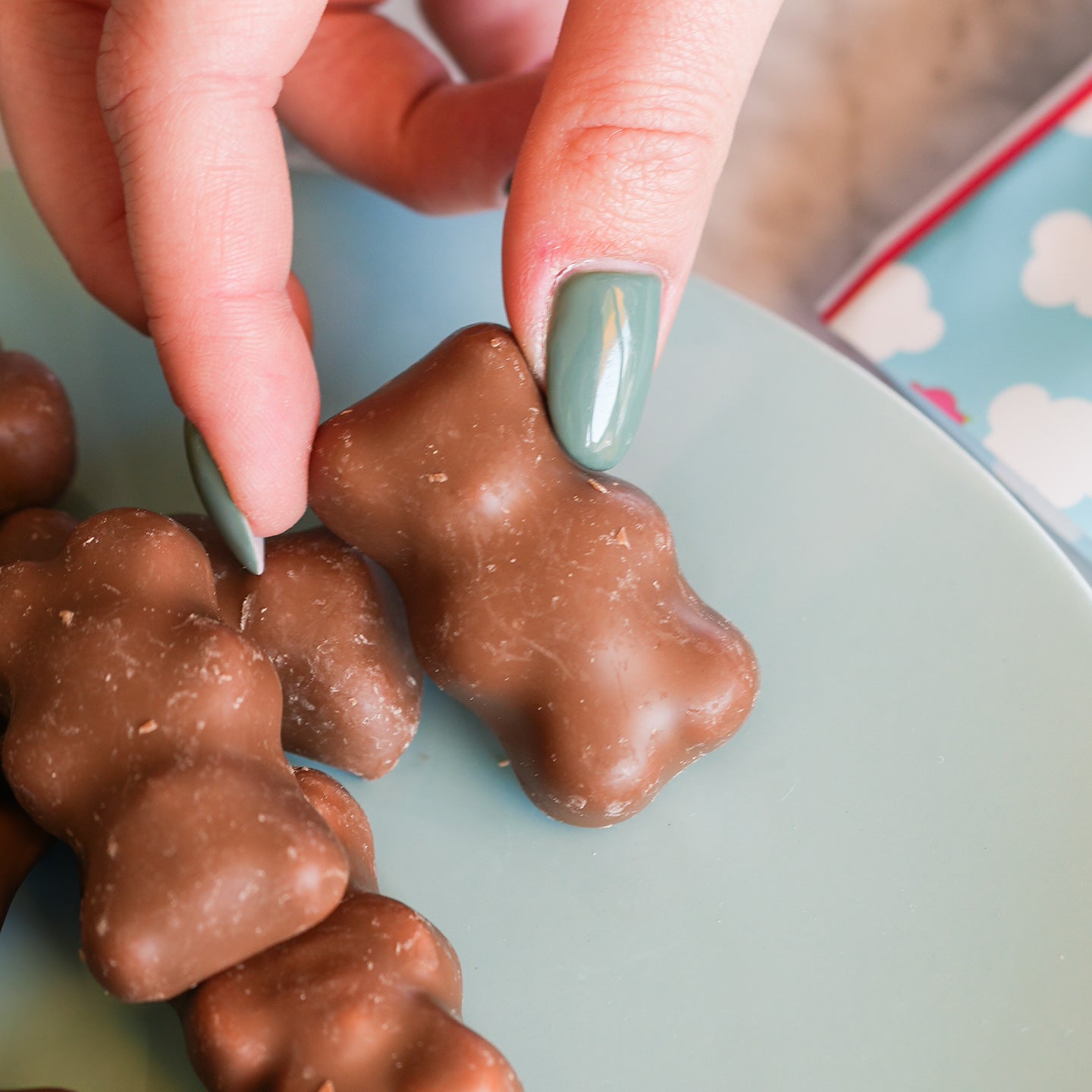 Oursons guimauve enrobés de chocolat sur fond clair.