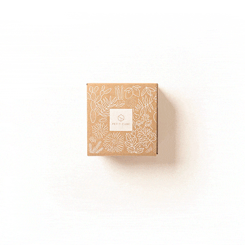 Ouverture de colis Petit Cube