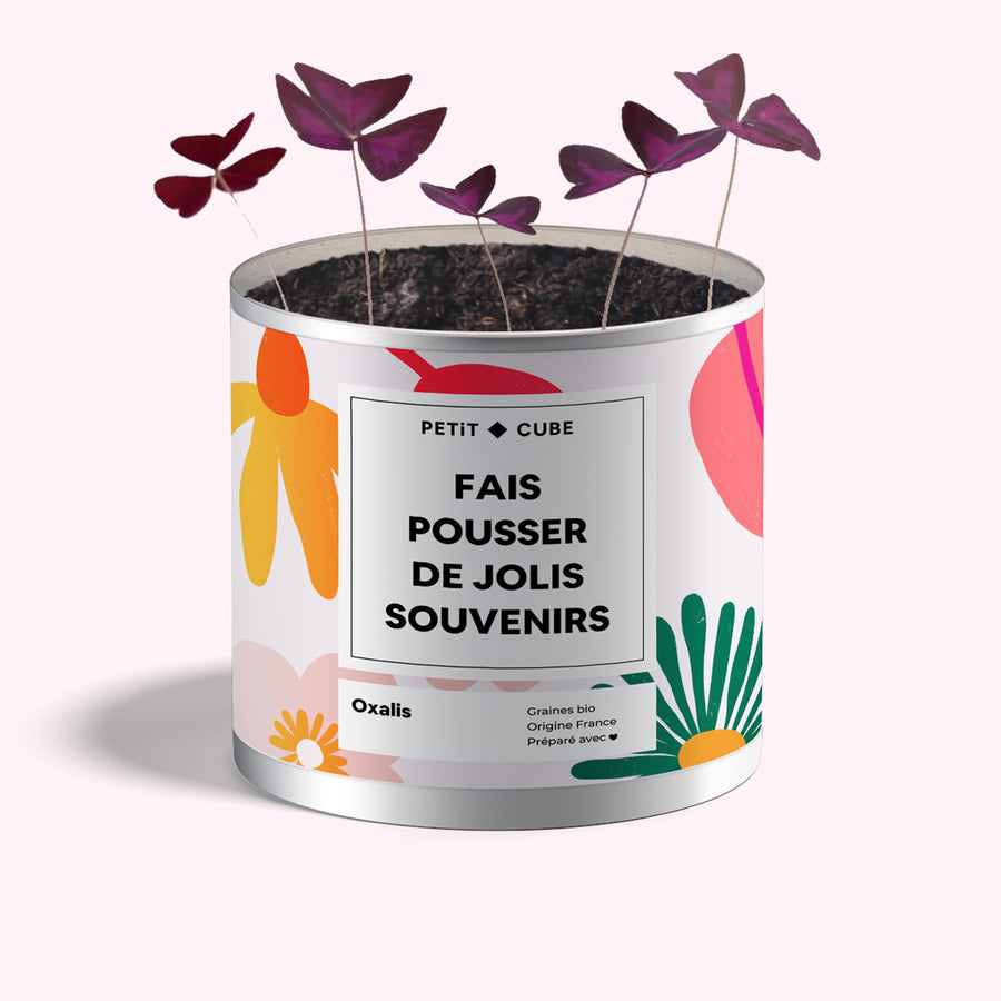 Pot de graines personnalisé avec texture en bois naturel