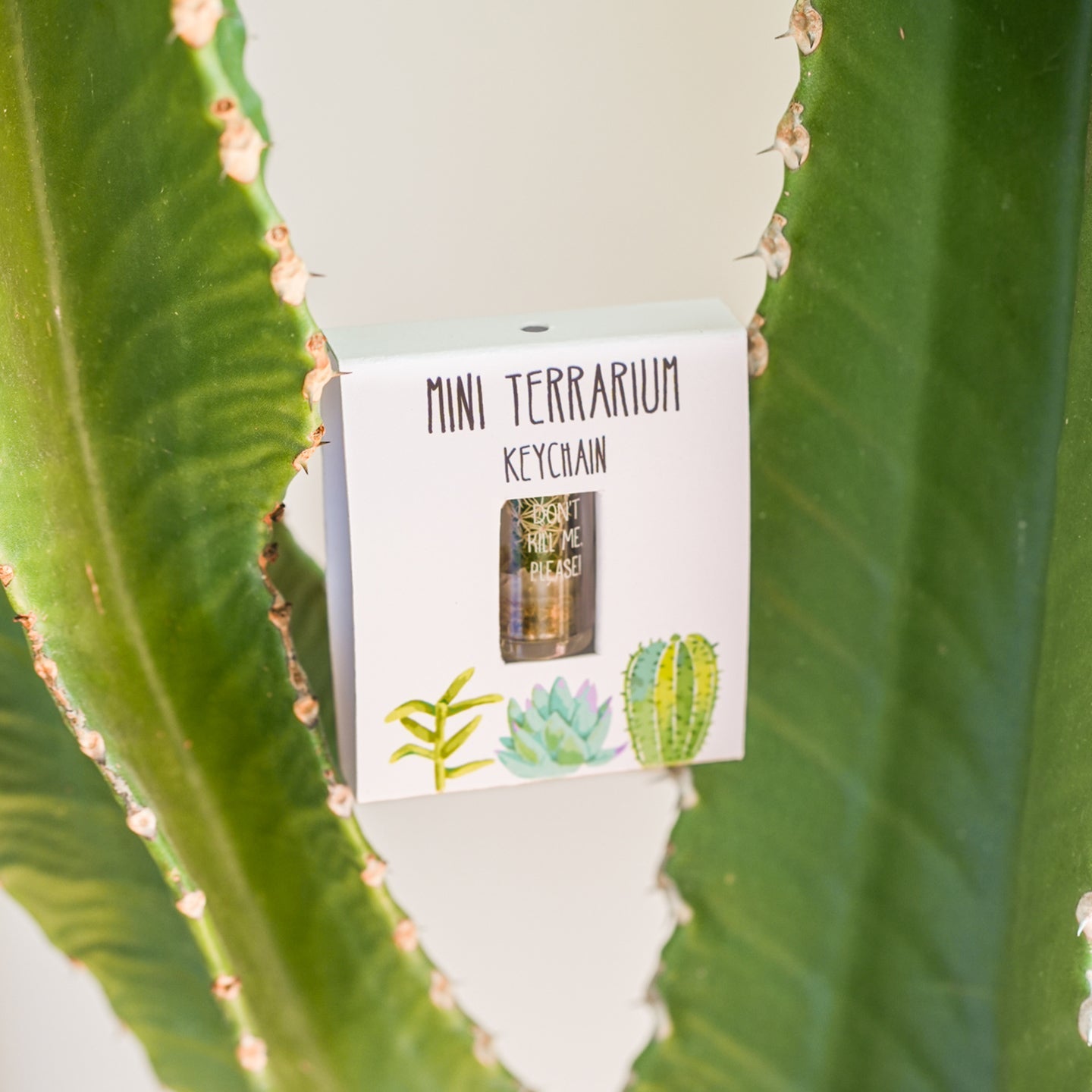 Porte-clés terrarium avec cactus miniature en gros plan