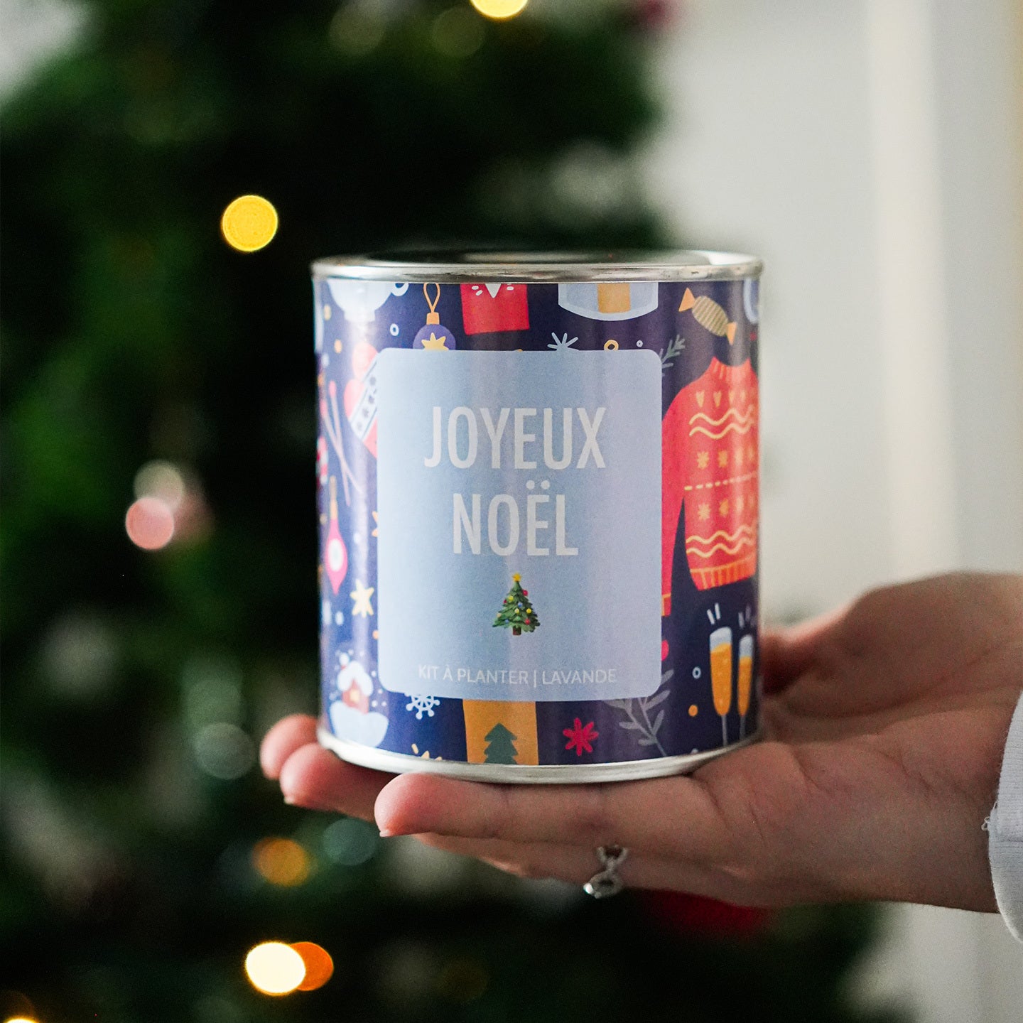 kit-a-planter-noel-petit-cube-1