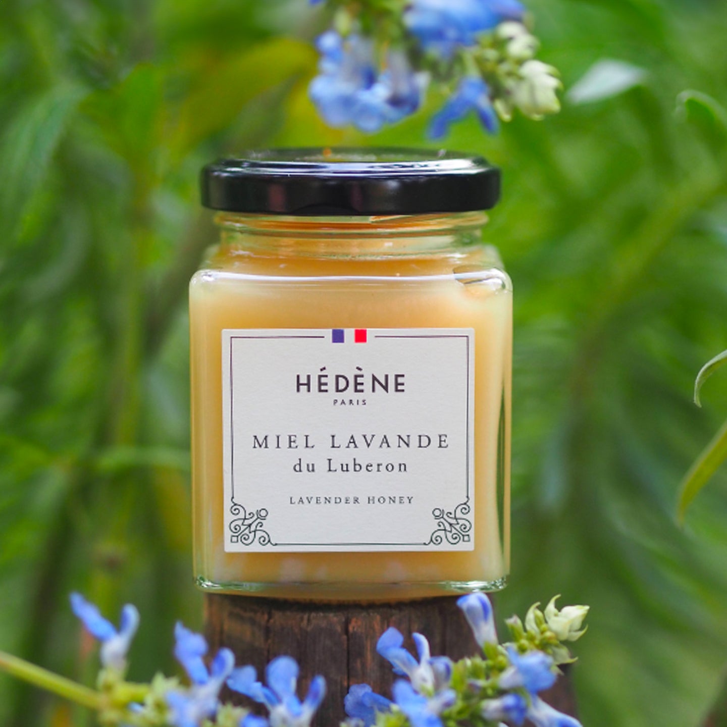 Miel lavande luberon 1