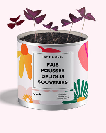 Pot de plantes personnalisé - texte et photo