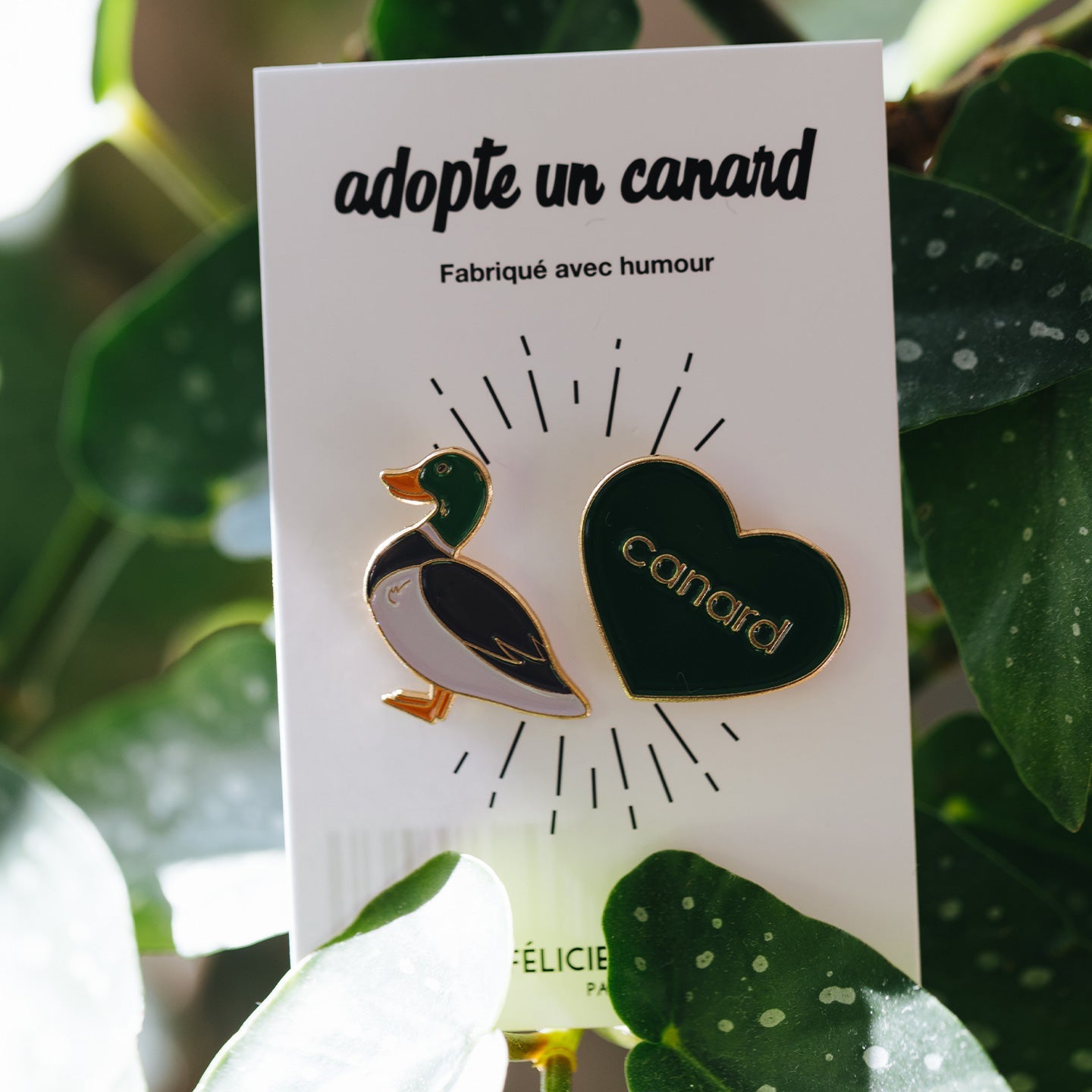 Pin's Canard - Petit Cube