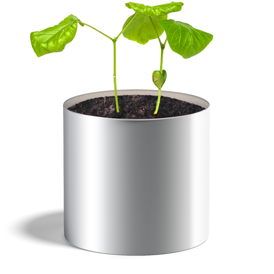 Pot de graines en forme de cœur avec texture naturelle.