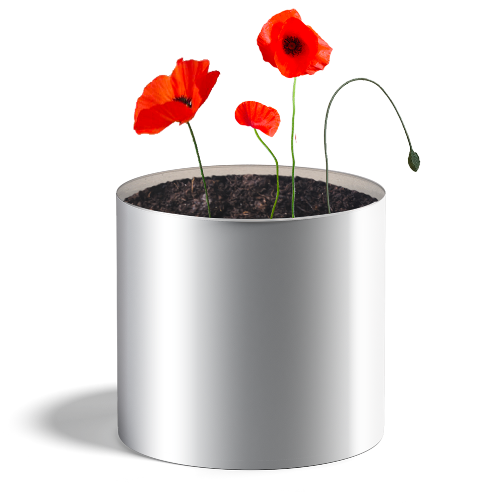 Pot de graines avec coquelicots, vue de face sur fond blanc.