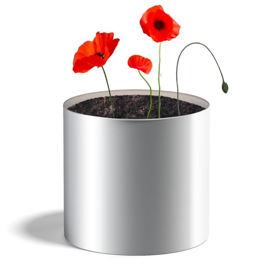 Pot de graines avec coquelicots, vue de face sur fond blanc.