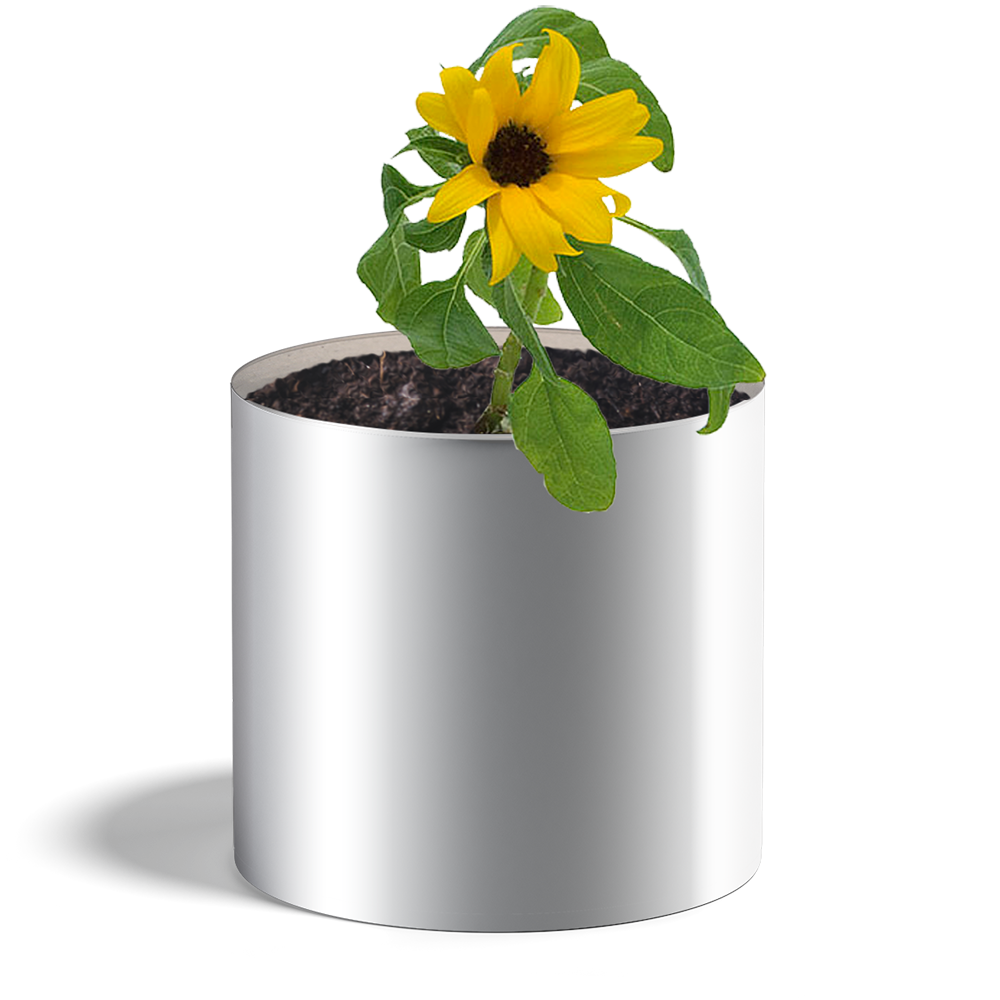 Pot de graines de tournesol avec étiquette personnalisée