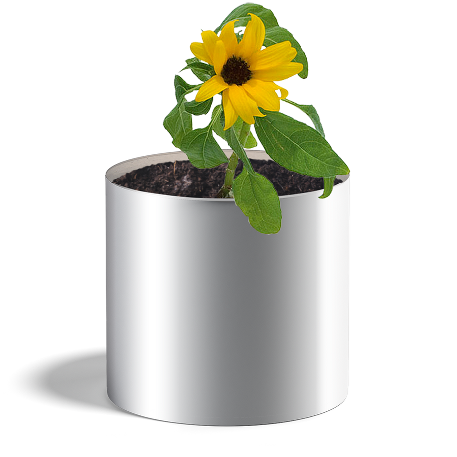 Pot de graines de tournesol avec étiquette personnalisée